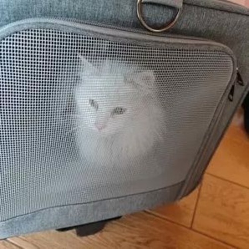 ペットバック 猫用 キャリーバック バック ピンク ブルー ペット用カバン