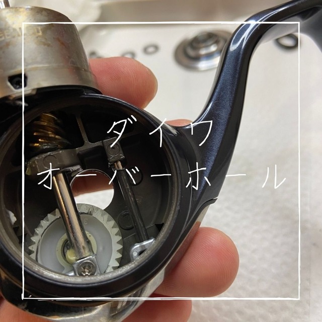ダイワ スピニング オーバーホール リールカスタム整備専門店 ギアショップ