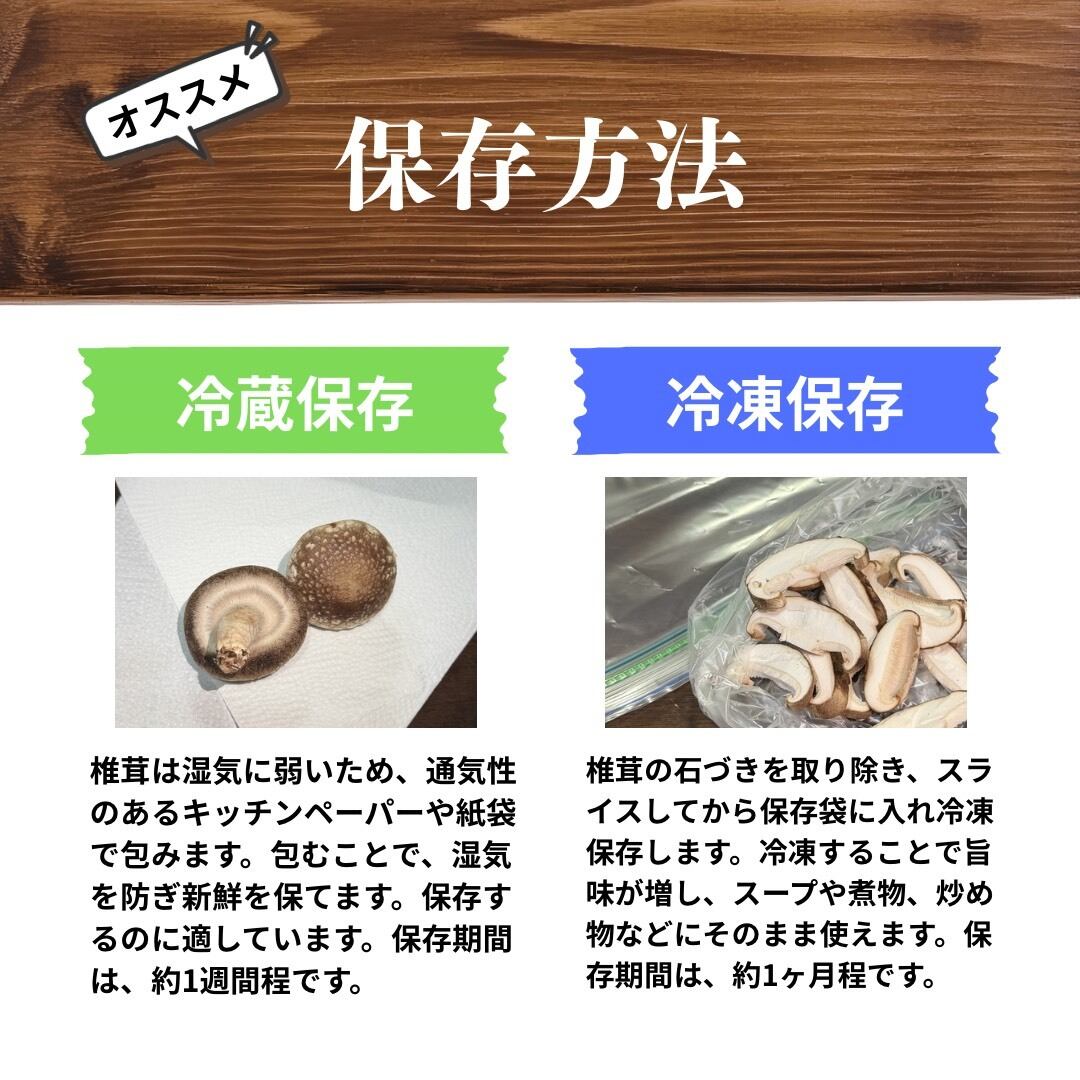 文殊山しいたけ（500g） | まめたんショップ