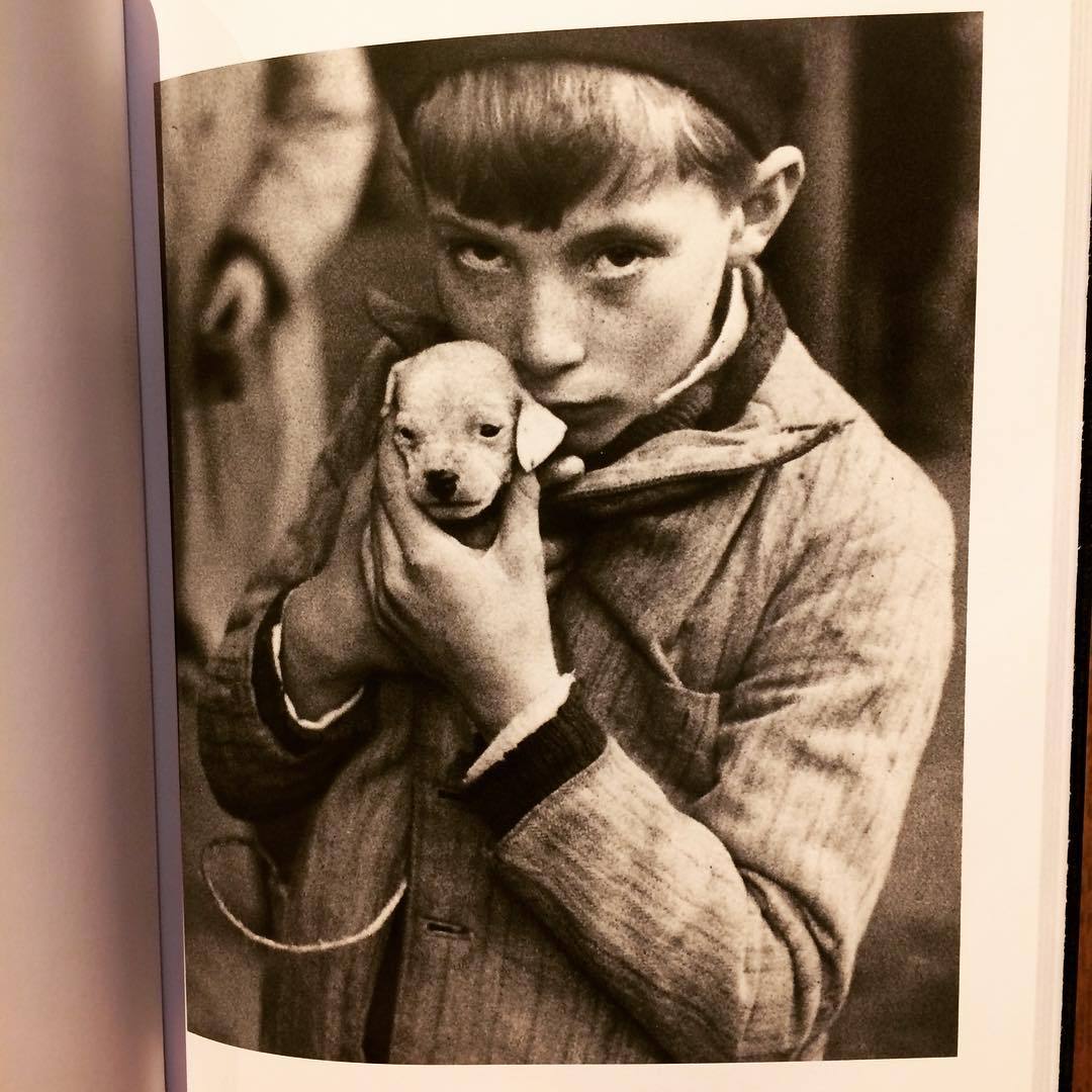 アンドレ・ケルテス写真集「André Kertész（Photo poche）」 - 画像2