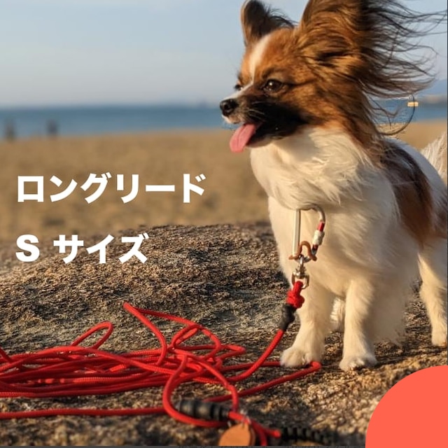 タフイナフ・ロングリード  S サイズ (小型犬用  〜 6~7kgs 程度まで)