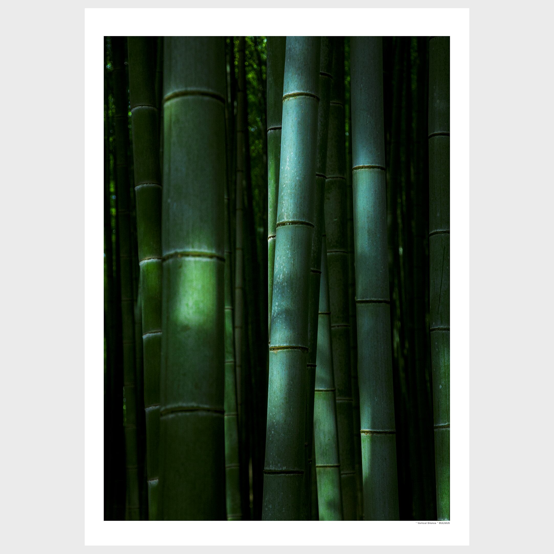 "Vertical Silence"