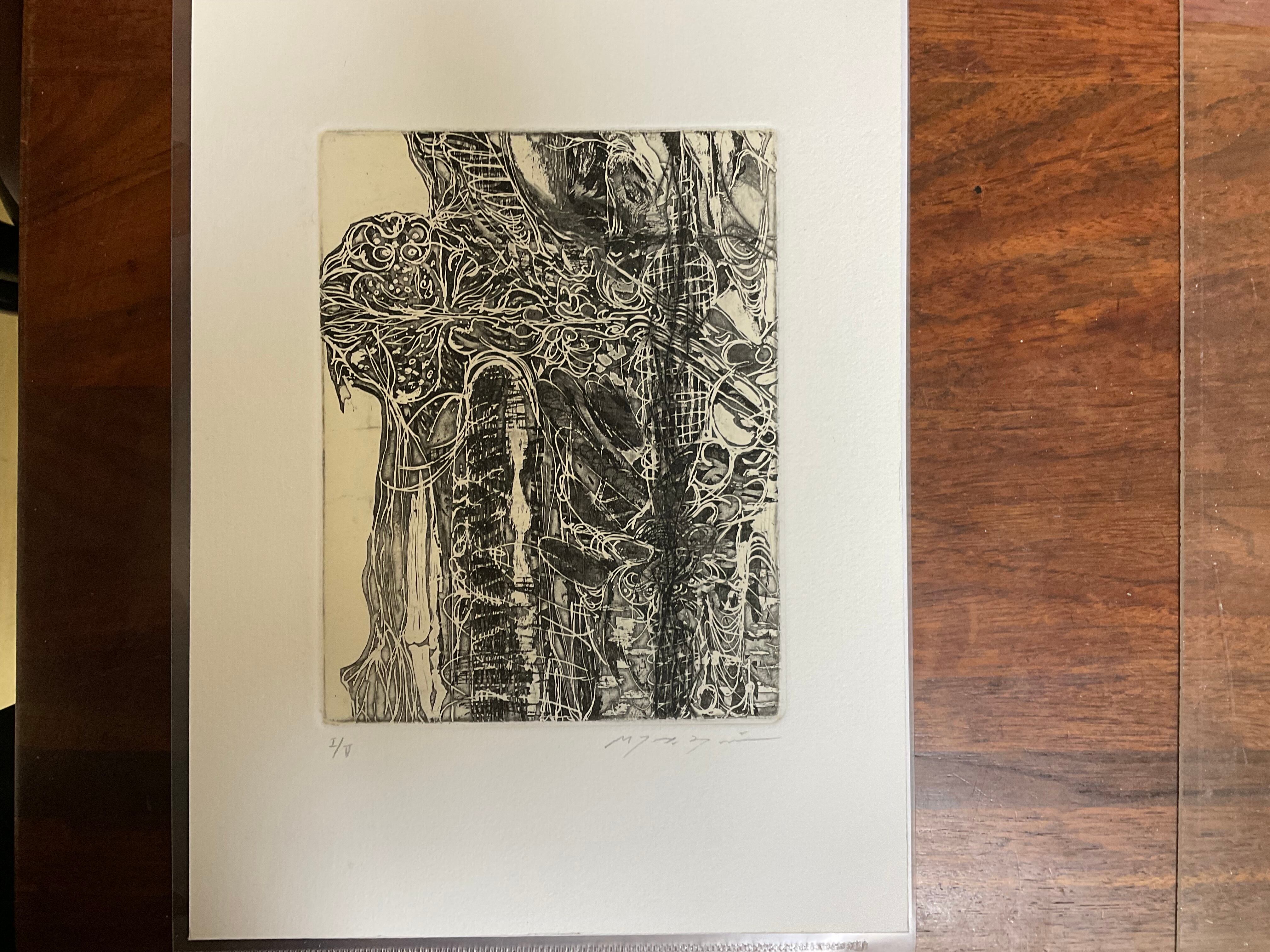 Green land ,intaglio print with frame 緑地 銅版画 エッチング