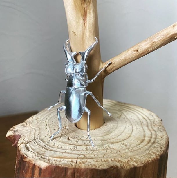 4cf99edc53c9cdc1987966483a1313