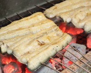 浜名湖うなぎの白焼１本