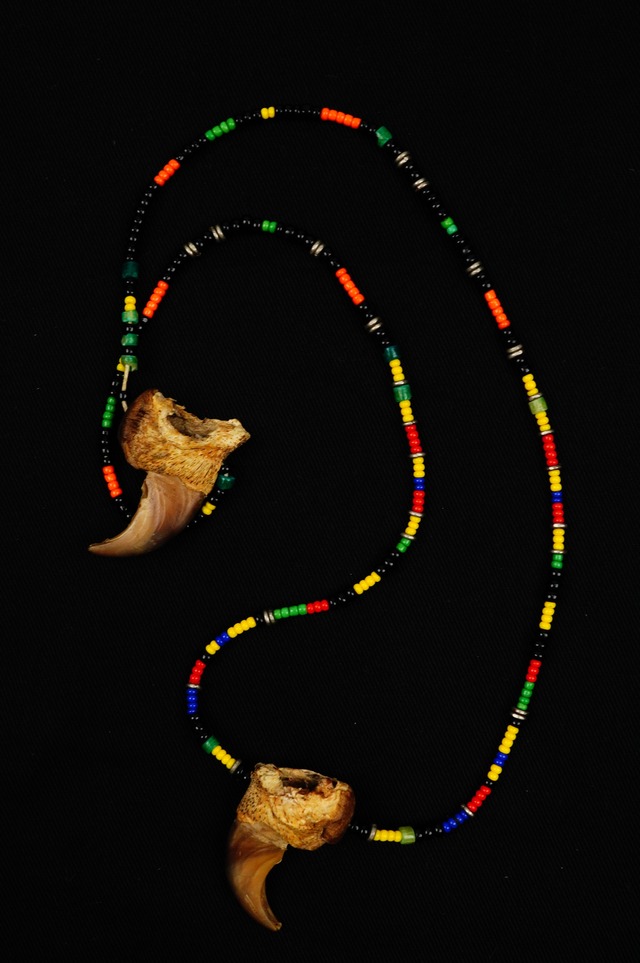 ARCD /  Bear claw × Bead Necklace