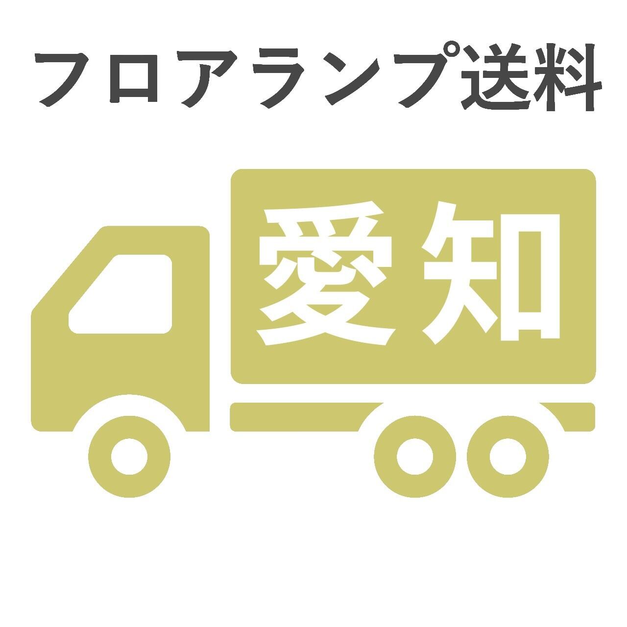 BL-F481,484,806送料 愛知