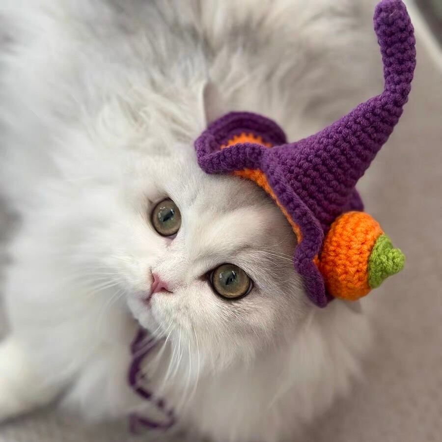 Halloweenニット帽子 魔女帽子 とんがり帽子 猫 ハロウィン | nyanpets