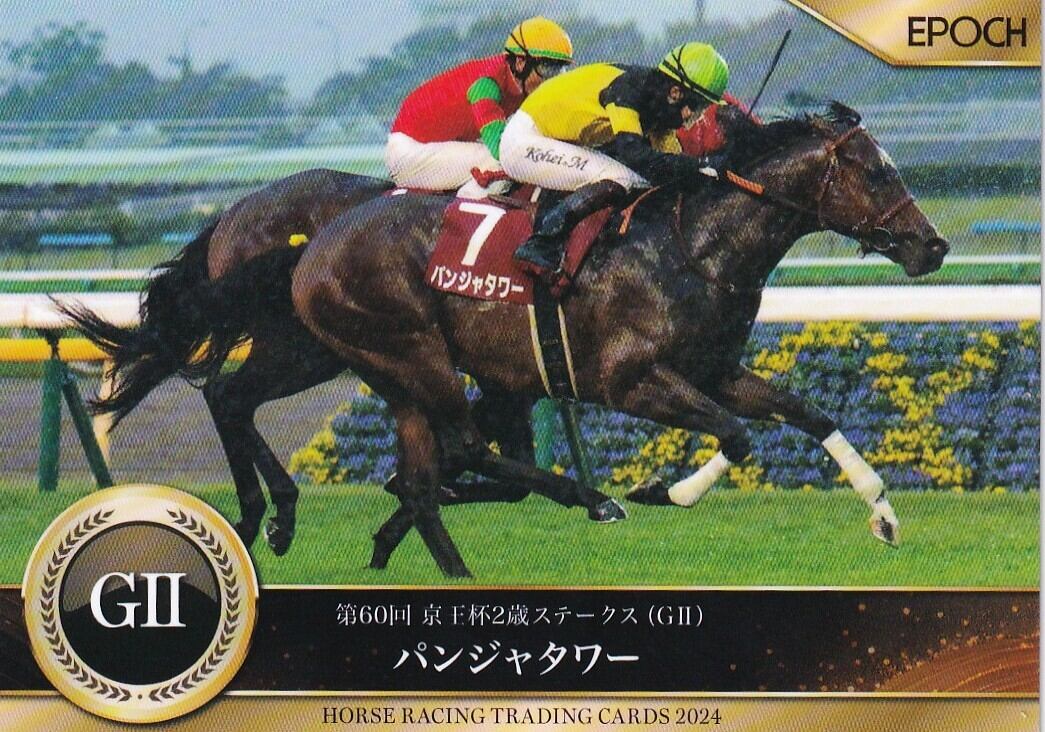 メジロマックイーン：第51回 菊花賞「THE GRADE ONE 20世紀の名馬」12