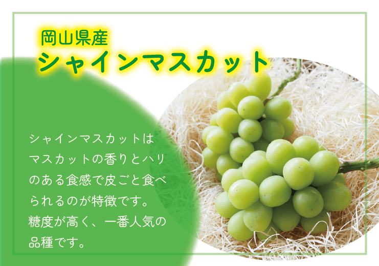 4d0534610e3c0c59eb3f62a3fd0648