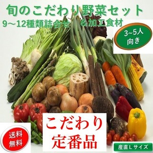 定期品　新鮮旬の野菜＆加工食材：セット【こだわり・Lサイズ】【９～１２種類詰合わせセット】３～５人向け　国内産【送料無料】【産地直送】