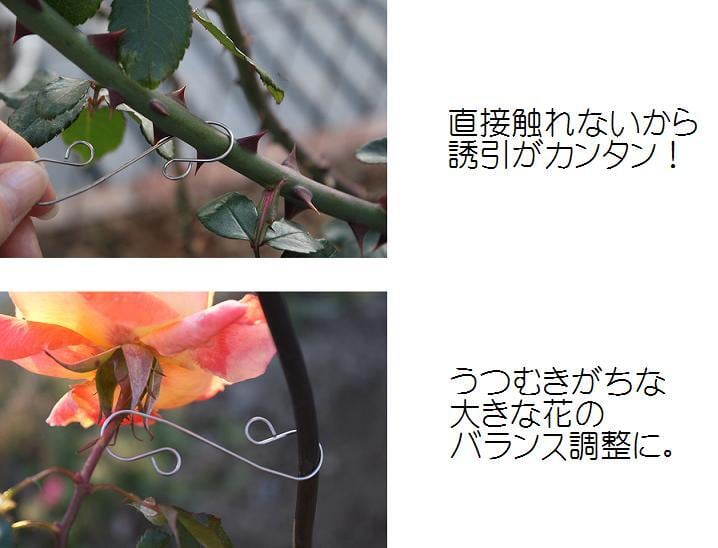 見本品   薔薇 ハンドメイド  ローズフック  お試し用 園芸用品 ローズフック | bellsmoreのひとはこ。