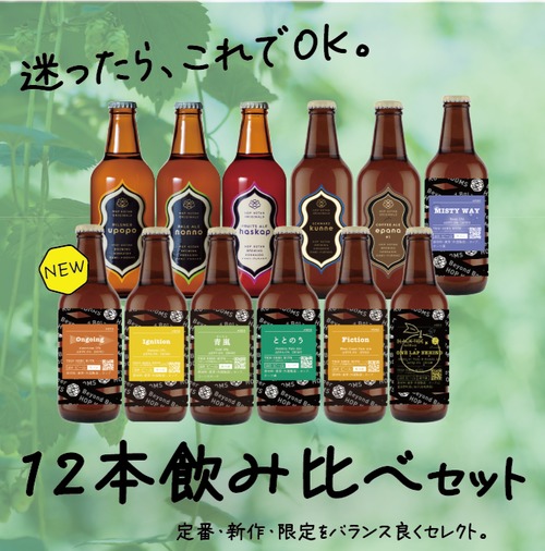 【全部楽しめる！】迷ったらこちら！しっかり楽しむ12本飲み比べセット