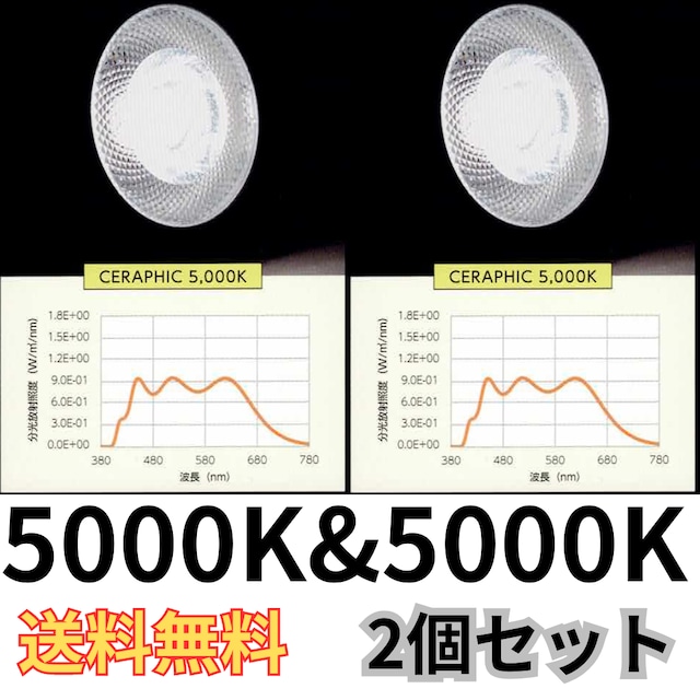 いきもの電球 CERAPHIC 5000K 23W 電球型照明 CERAPHICいきもの電球』 ▽送料無料▽5000K &6500K2個セット