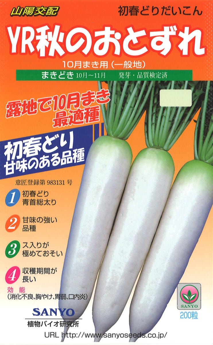 大根 | 【株式会社山陽種苗】野菜や果物の種苗を販売｜オンラインショップ