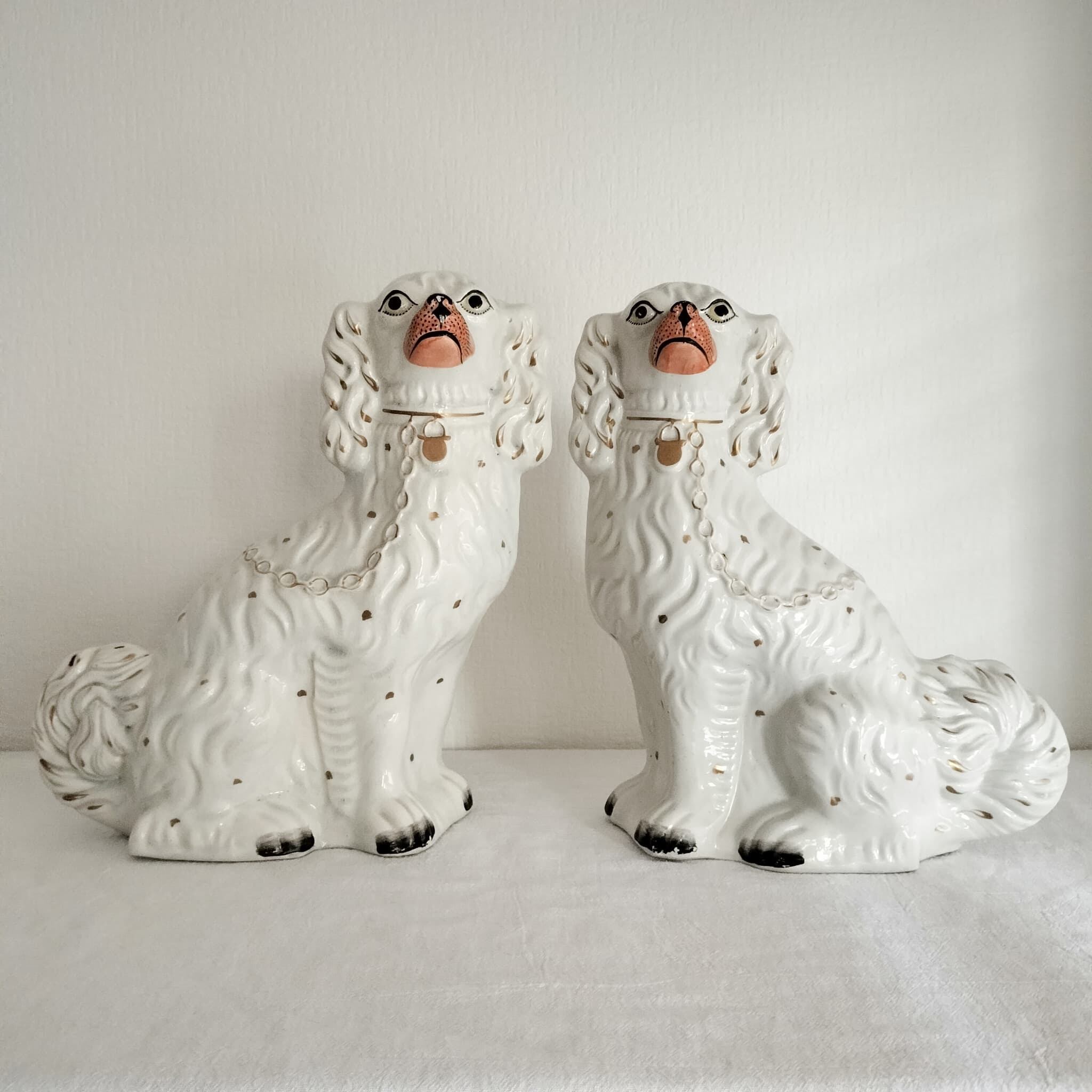 ALL ITEM | スタッフォードシャードッグ専門店