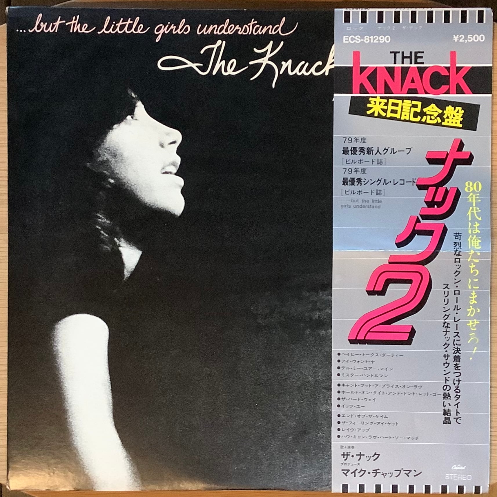 PUNK / POWER POP | Plastic Soul Records