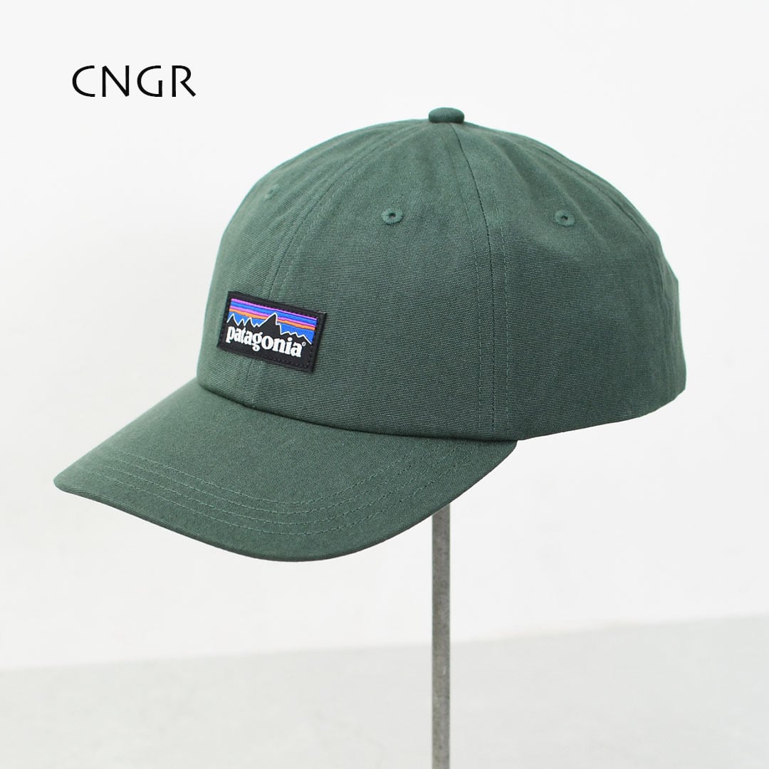 Patagonia [パタゴニア正規代理店] P-6 Label Trad Cap [38296] P-6