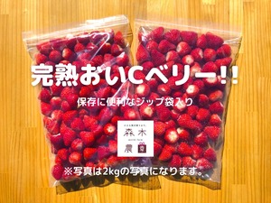 【送料込】冷凍おいCベリー2kg ☆ビタミンＣ含有量Ｎｏ１品種