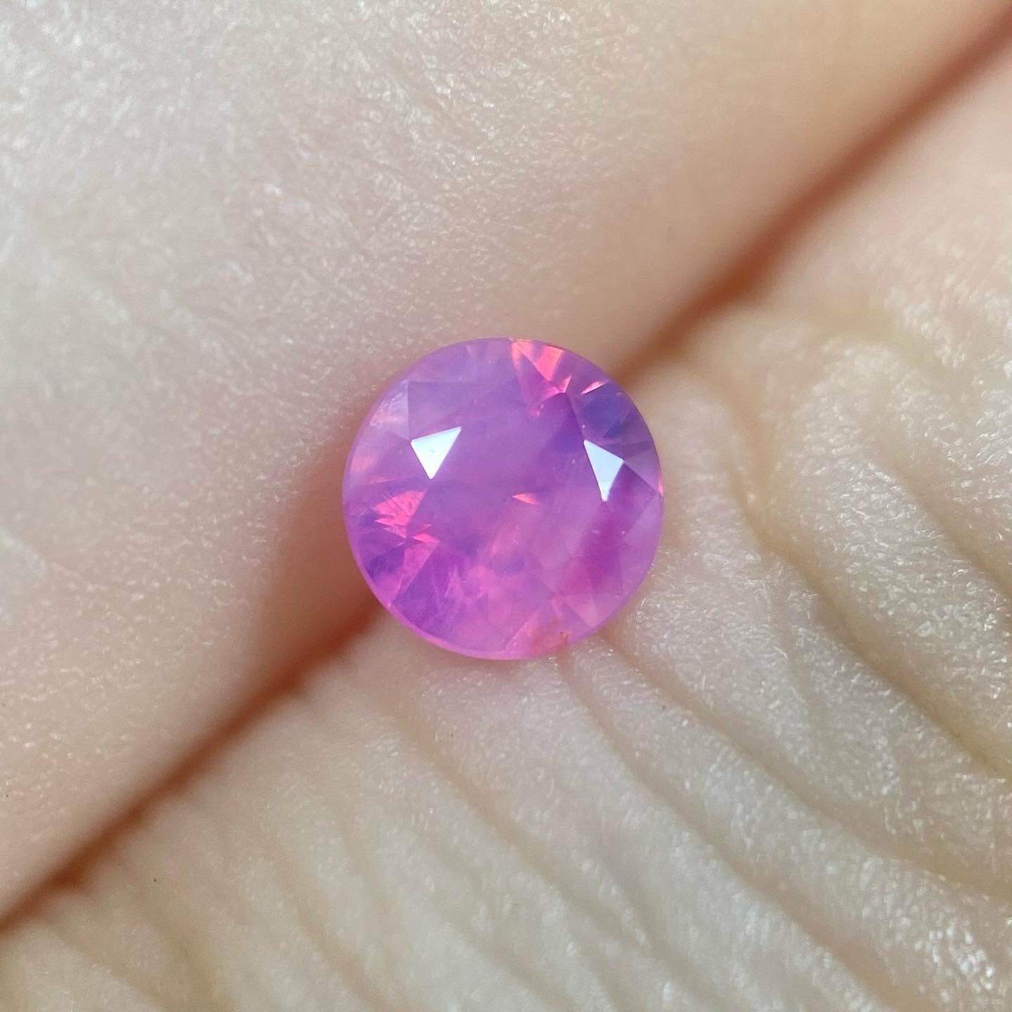 カトレア サファイア