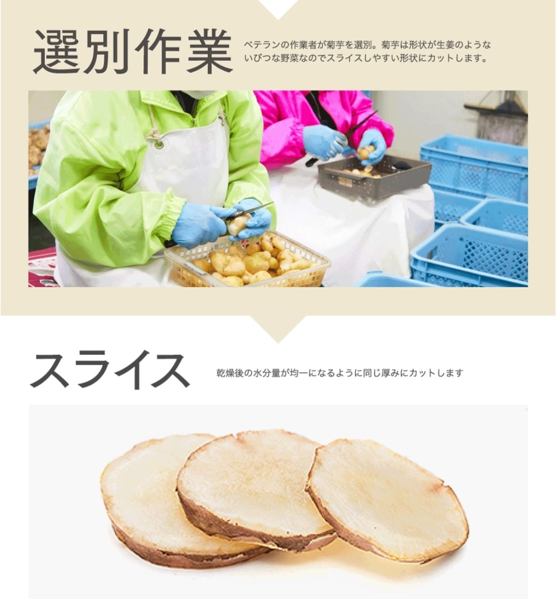 菊芋の極み〈お試し〉初回限定 3袋セット(2ヶ月分)