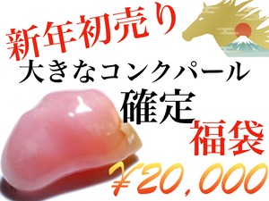 【初売り】¥20,000 大きなコンクパール確定福袋『5名限定』［No.K-11］