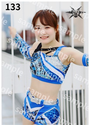 叶ミク ポートレート 各種 134〜137新作
