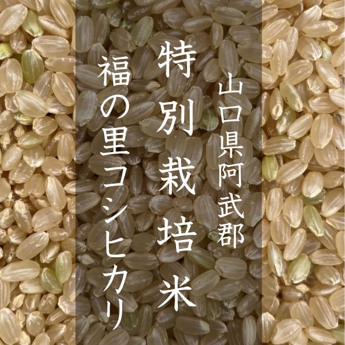 【成約済み】令和7年産ゆうだい21の玄米 令和7年長野県産ゆうだい21炊飯食味値92点極上玄米10kg×2袋20kg農家