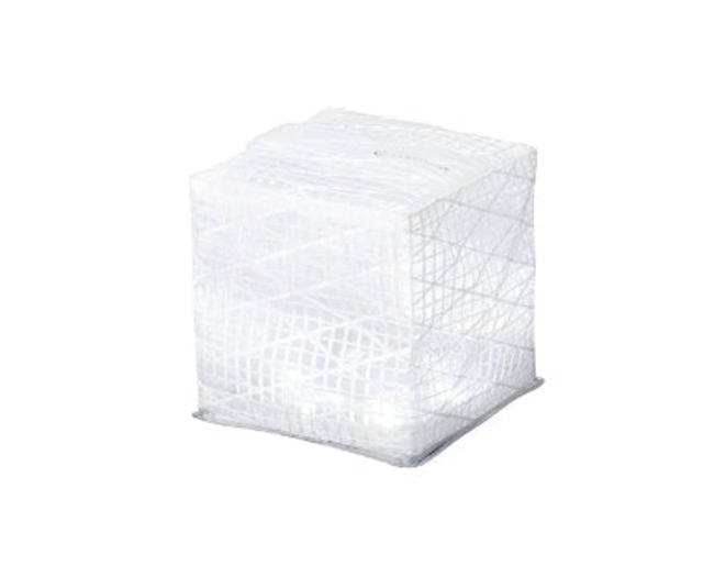 キャリー・ザ・サン ／ スモール クールブライト  #white belt