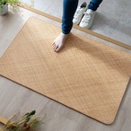 玄関マット 宝麗 70×120cm