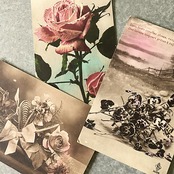 1900s フランス 永遠の花々とポストカード 3p アンティーク