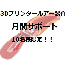 【期間限定】月間サポート　3Dプリンタールアー作成オンライン　10名限定