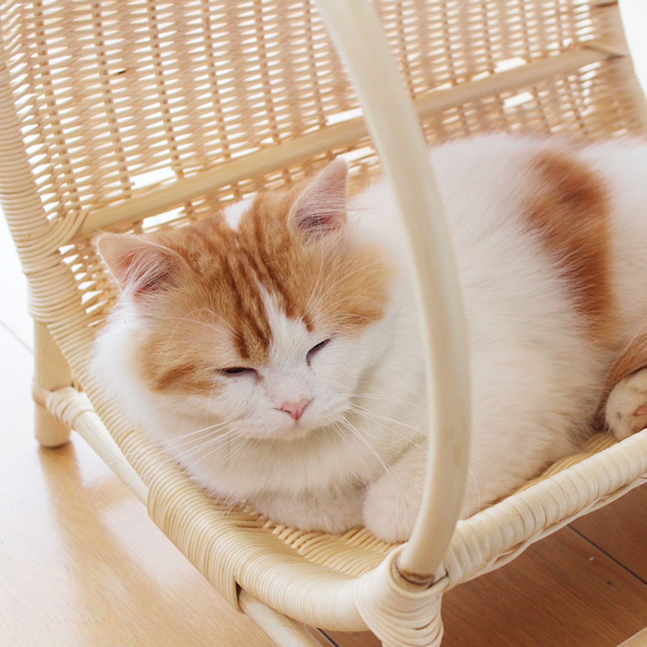 【ラタントンネルベッド】丸いトンネルみたいなベッドで隠れ家に!※お取り寄せ商品です。