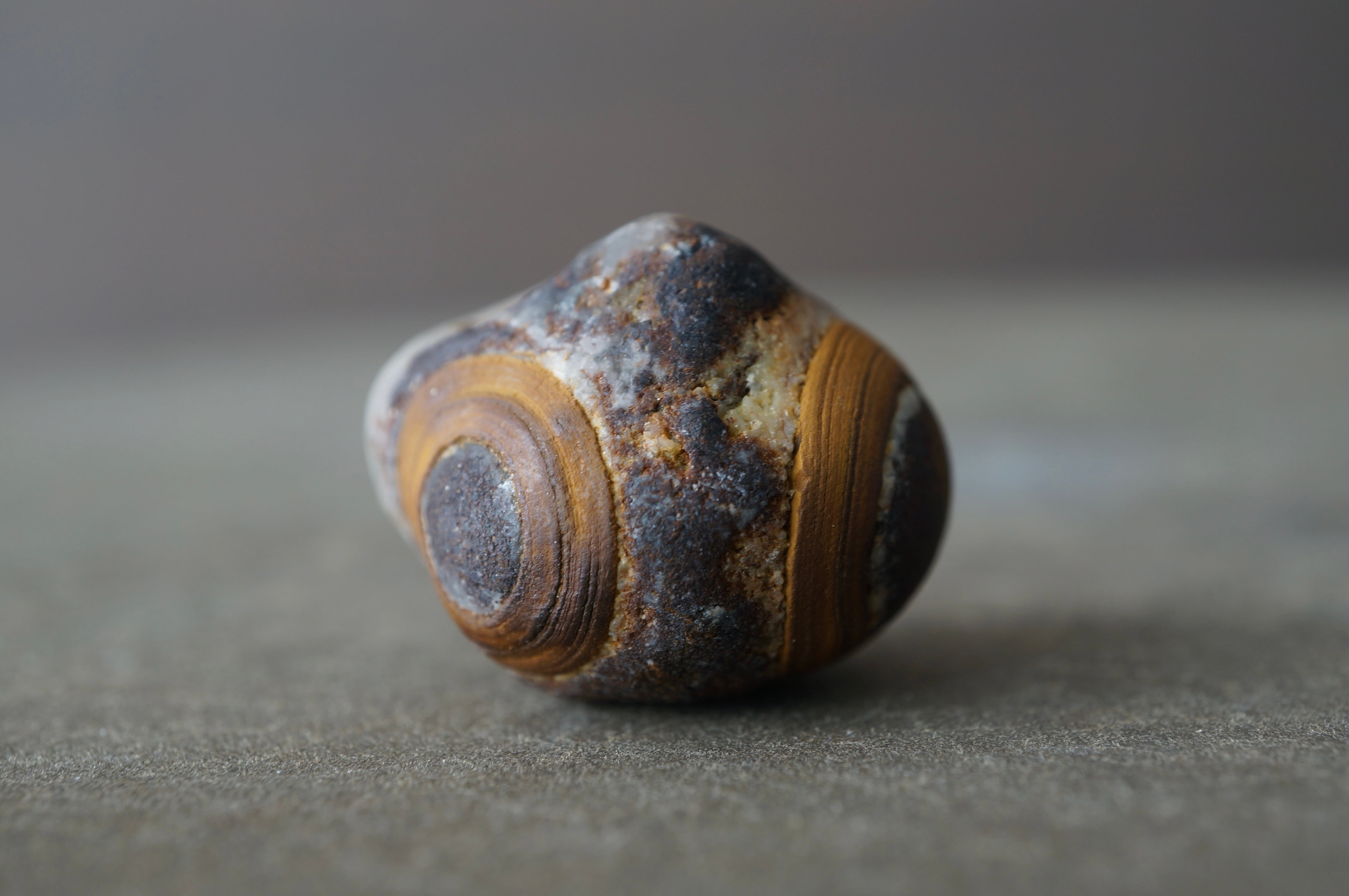 gobi agate | 叙景 jokei
