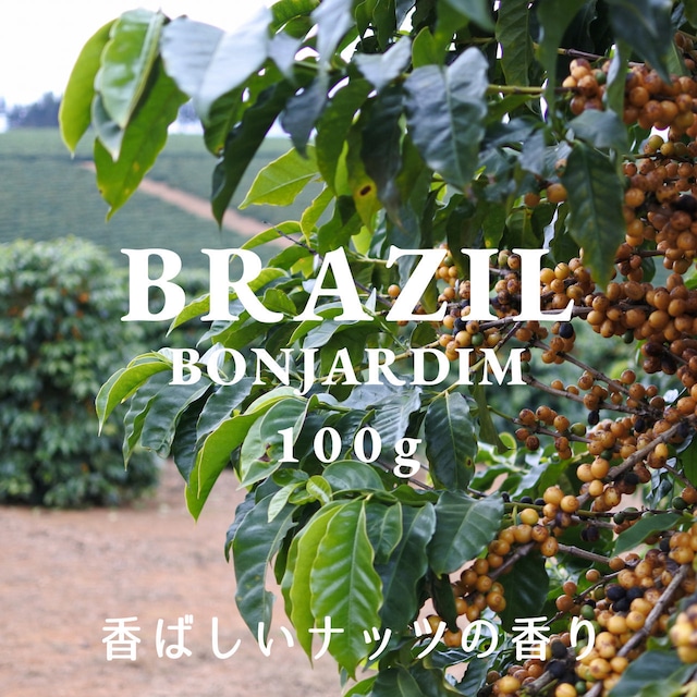 BRAZIL｜BONJARDIM｜中深煎り｜コーヒー豆