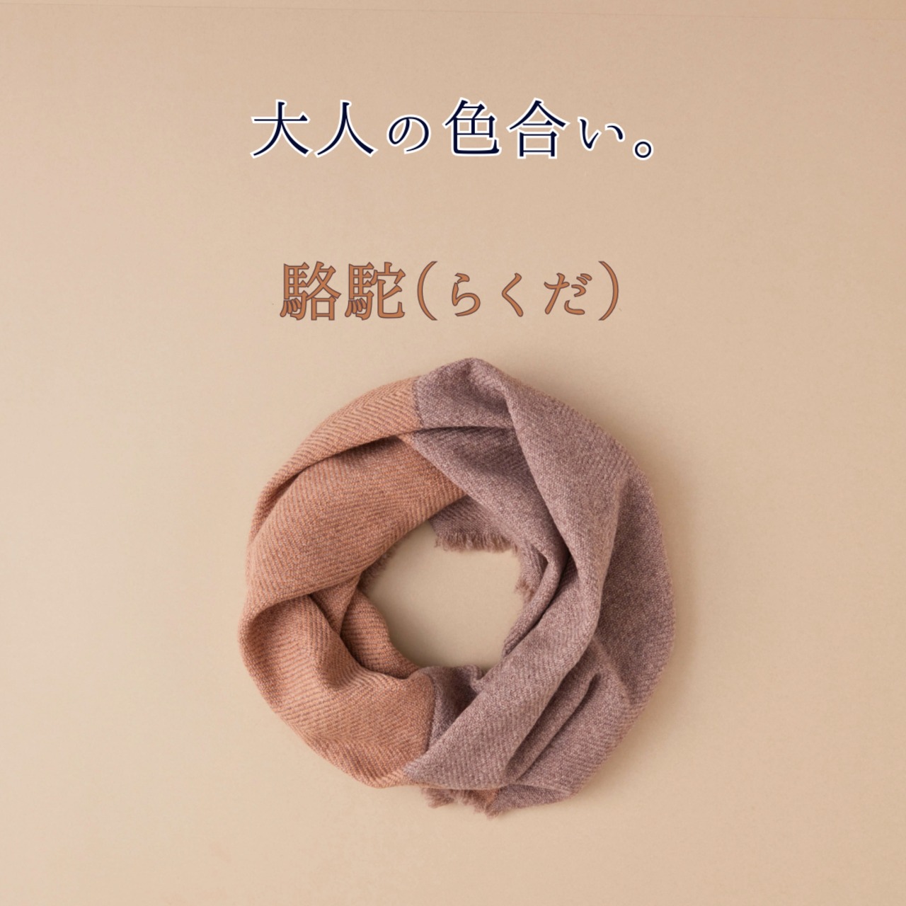 全6色】あなたになじむ すてきなスヌード -WOOL100- | プラスニド 
