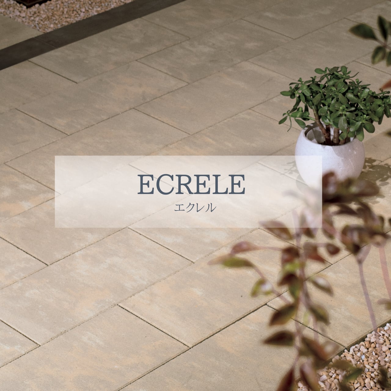 エクレル　ECRELE