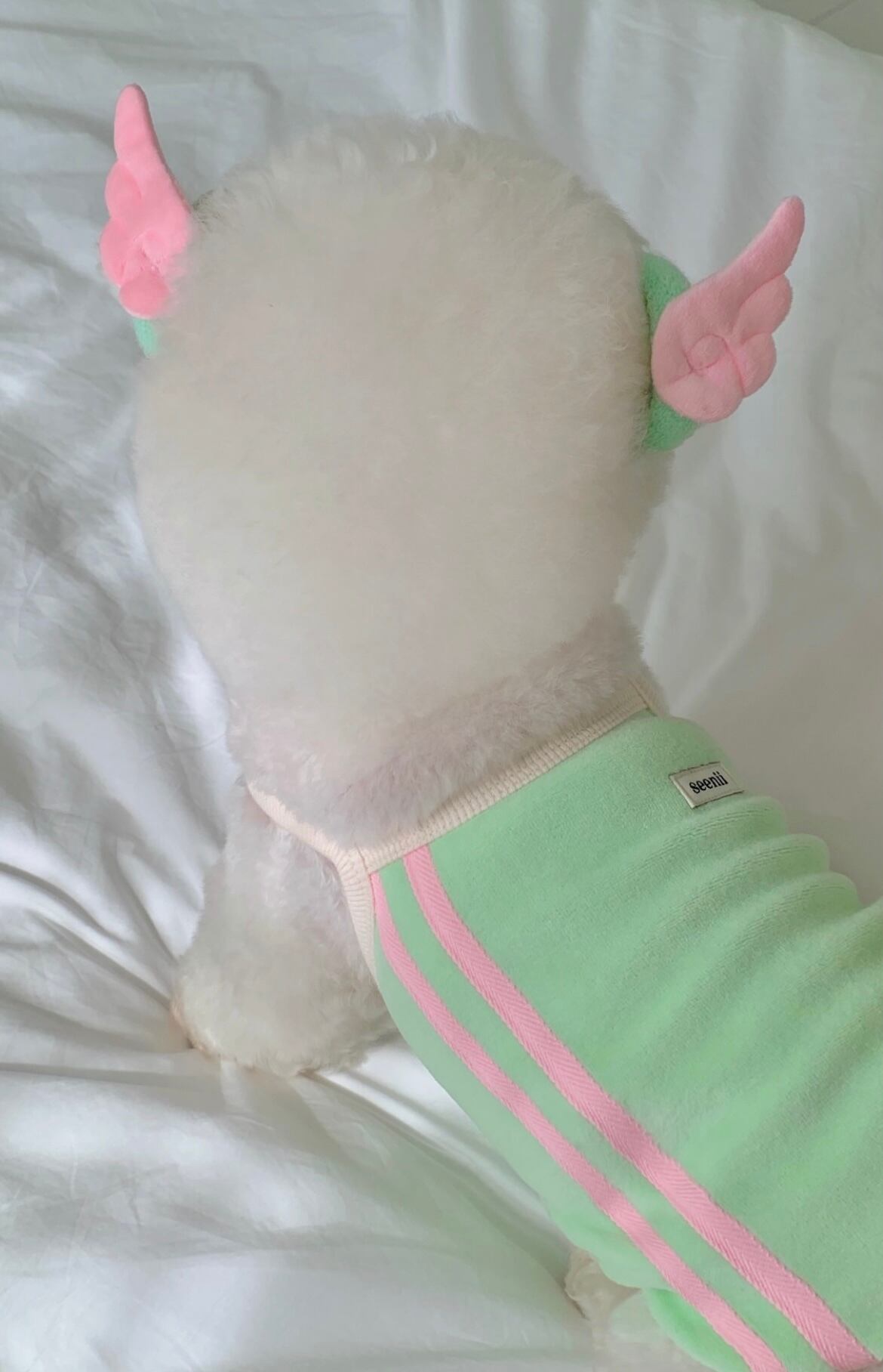 【seenii】Swing hair ties (4 colors)