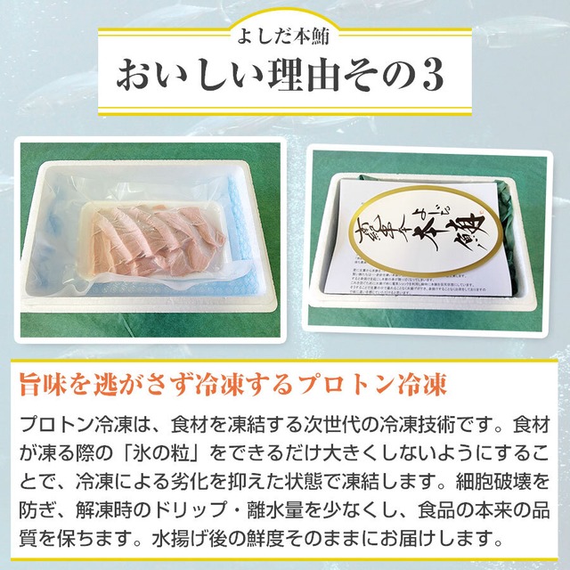 和歌山県 串本産 最高品質本マグロ よしだ本鮪の刺身 (赤身トロ混合)  400g【ギフト対応可】