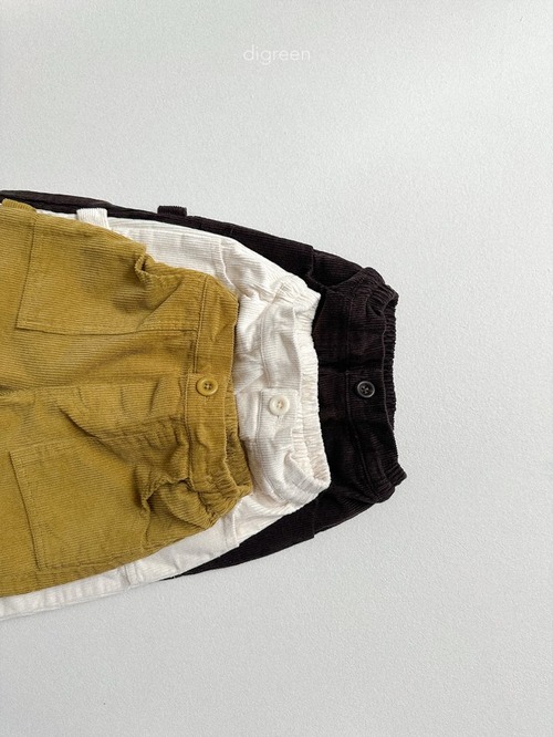 digreen25wn_Olive Pants