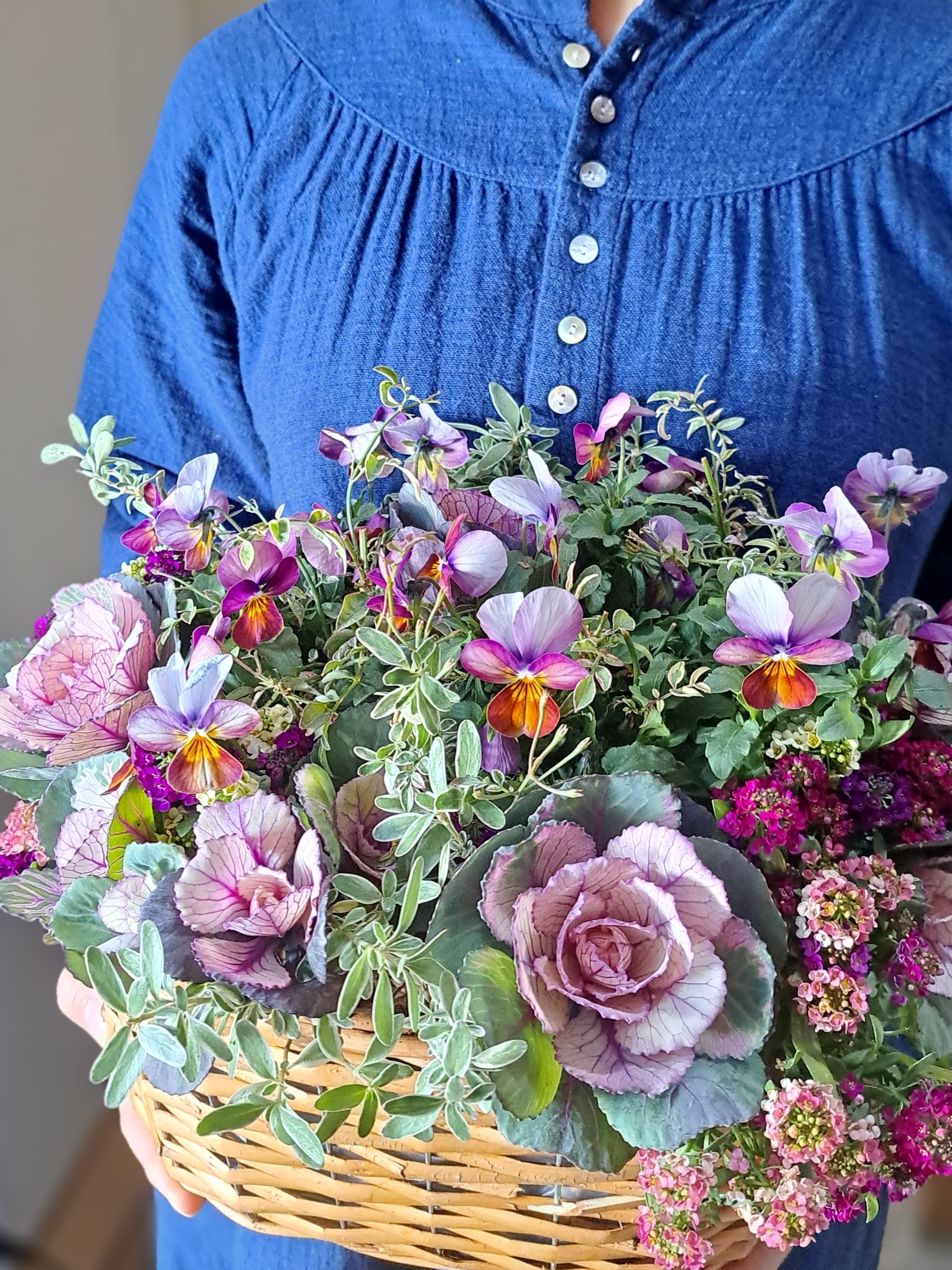 寄せ植え 花 ビオラと葉牡丹の花籠