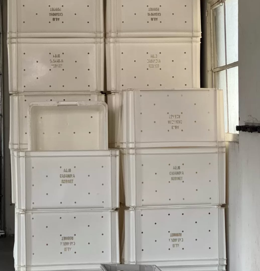 【オーロール・カサノヴァ】キュヴェ オーレ NV