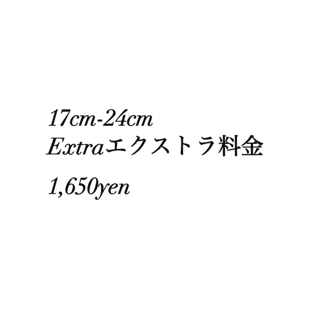 17cm-24cm Extra1,650yen