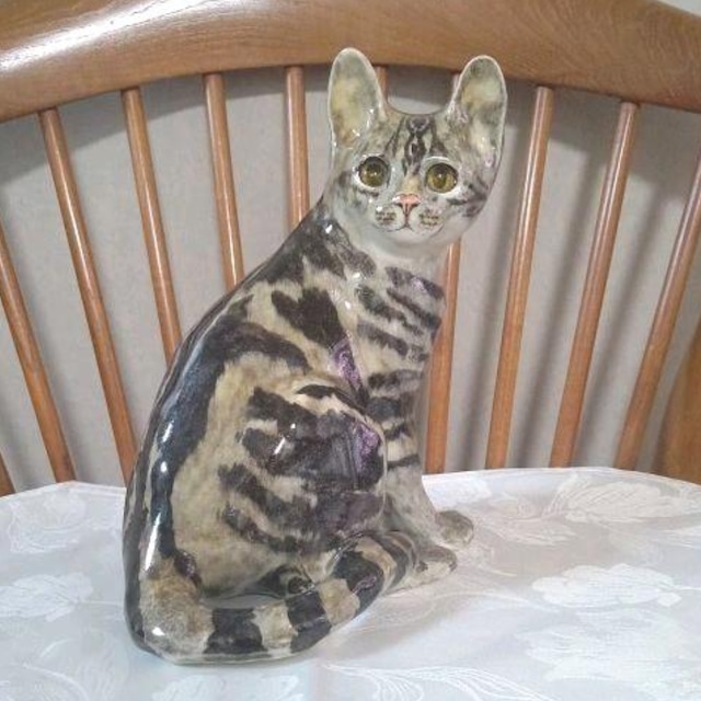 SOLD OUT】❇️小顔美人猫!ウィンスタンレイ(ケンジントン)キャット SOLD OUT】❇️小顔美人猫!ウィンスタンレイ(ケンジントン)キャット