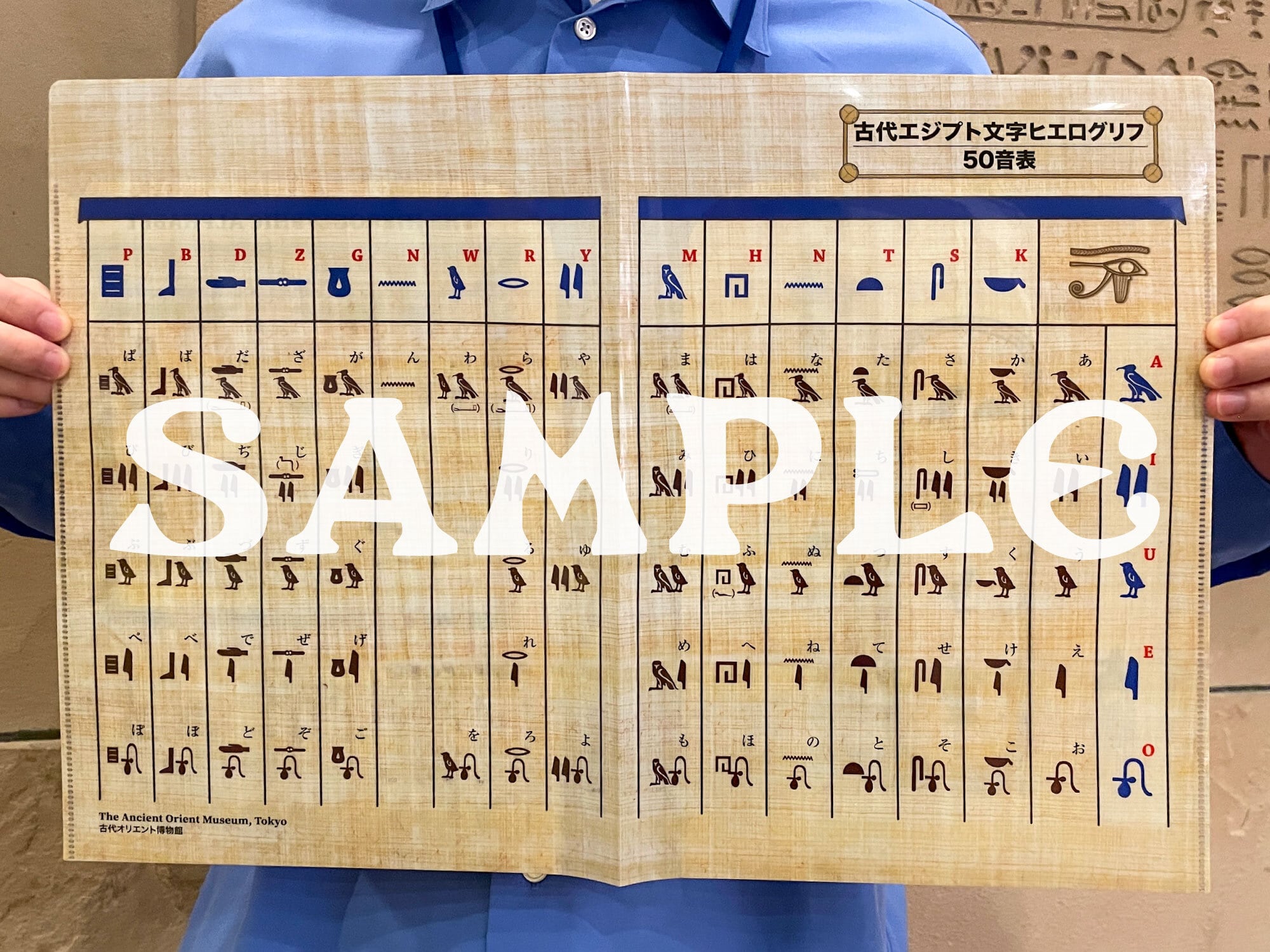 ヒエログリフ50音表クリアファイル | 古代オリエント博物館ウェブショップ