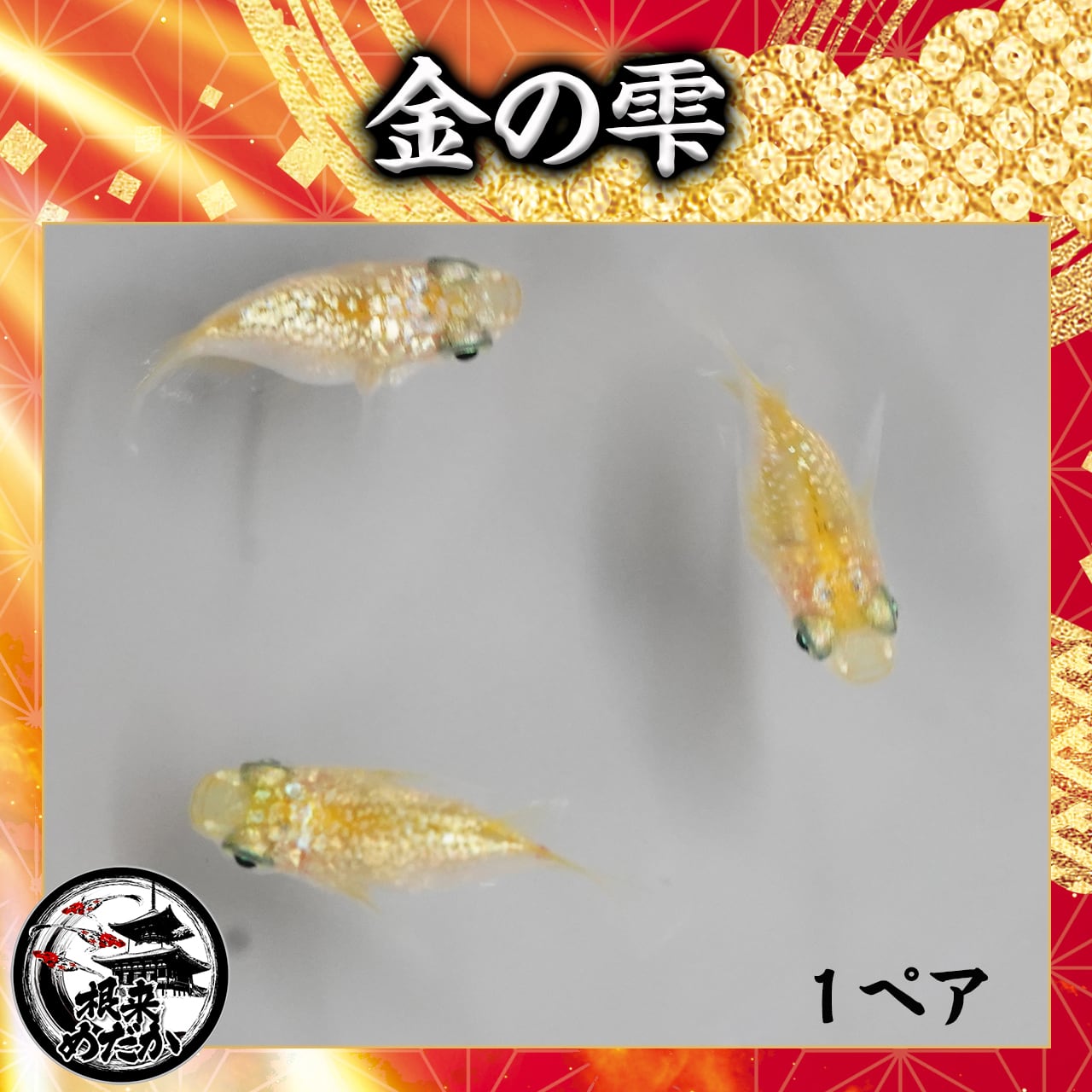 【1ペア】金の雫　