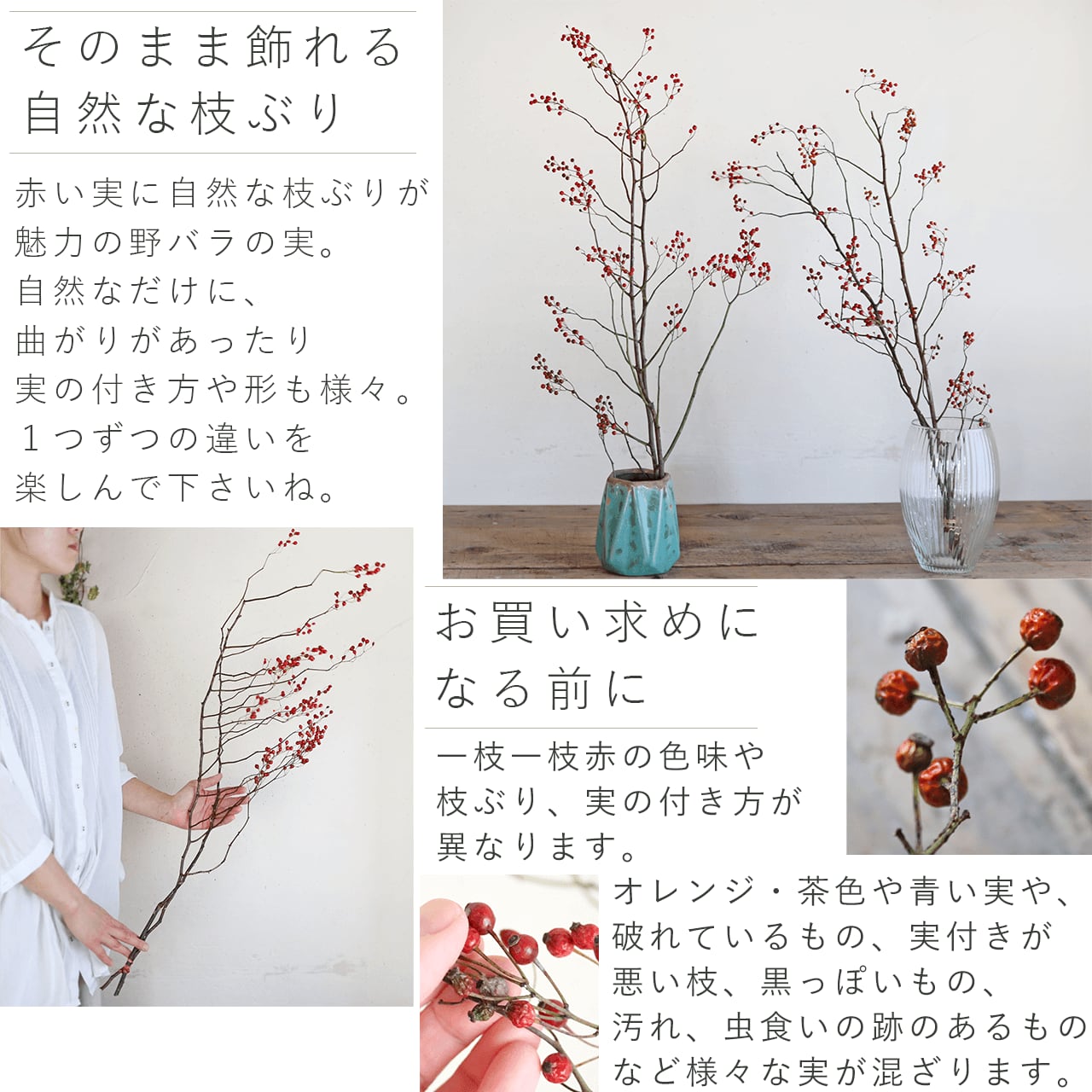 野ばらの実 | スワッグ クリスマス 綿花と野バラの実を針葉樹と束ねた