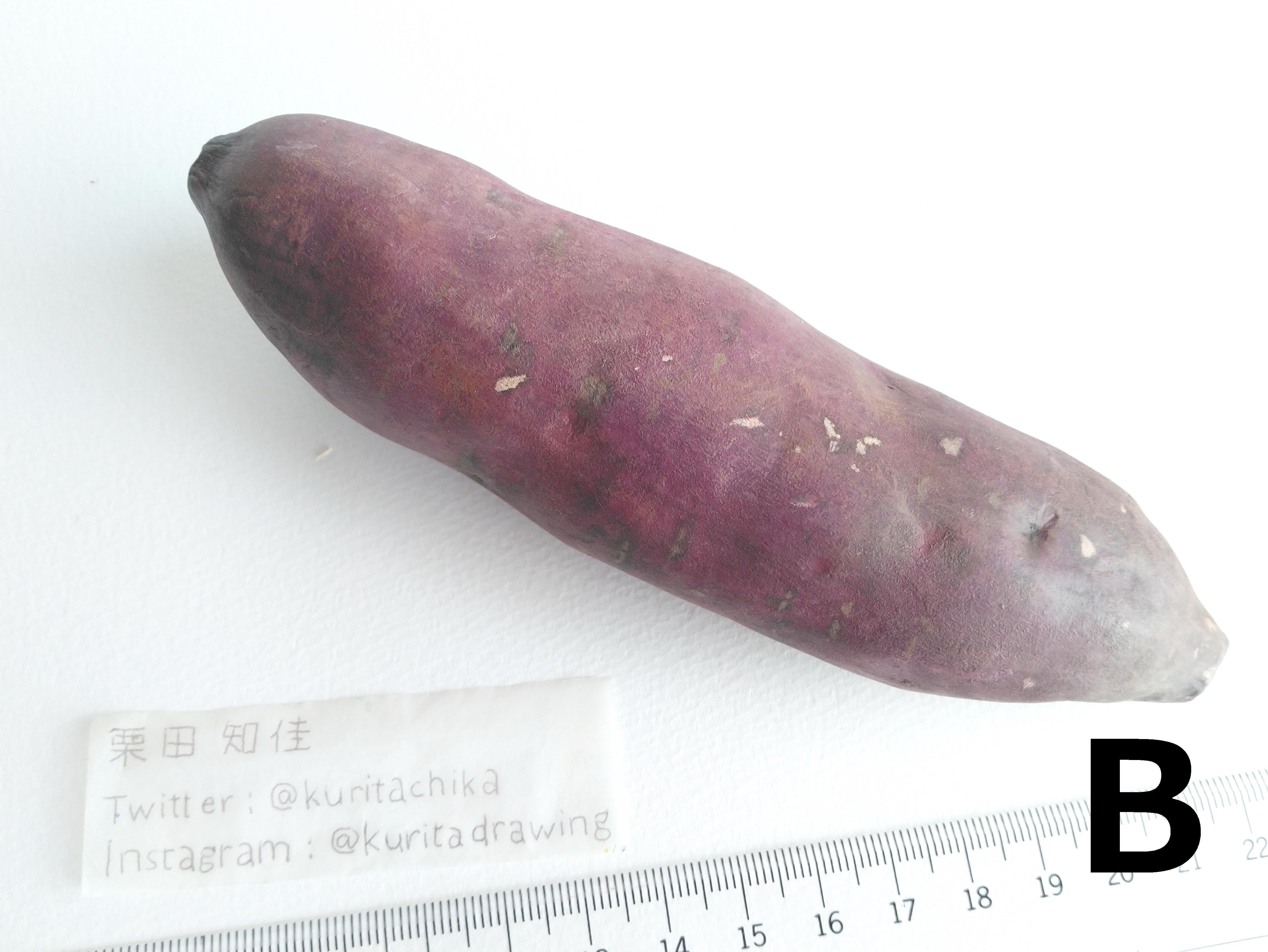 高校で作った美術作品 アジアアロワナ彫刻 (さつまいもカラー) 高校で作った美術作品 アジアアロワナ彫刻 (さつまいもカラー) 【公式