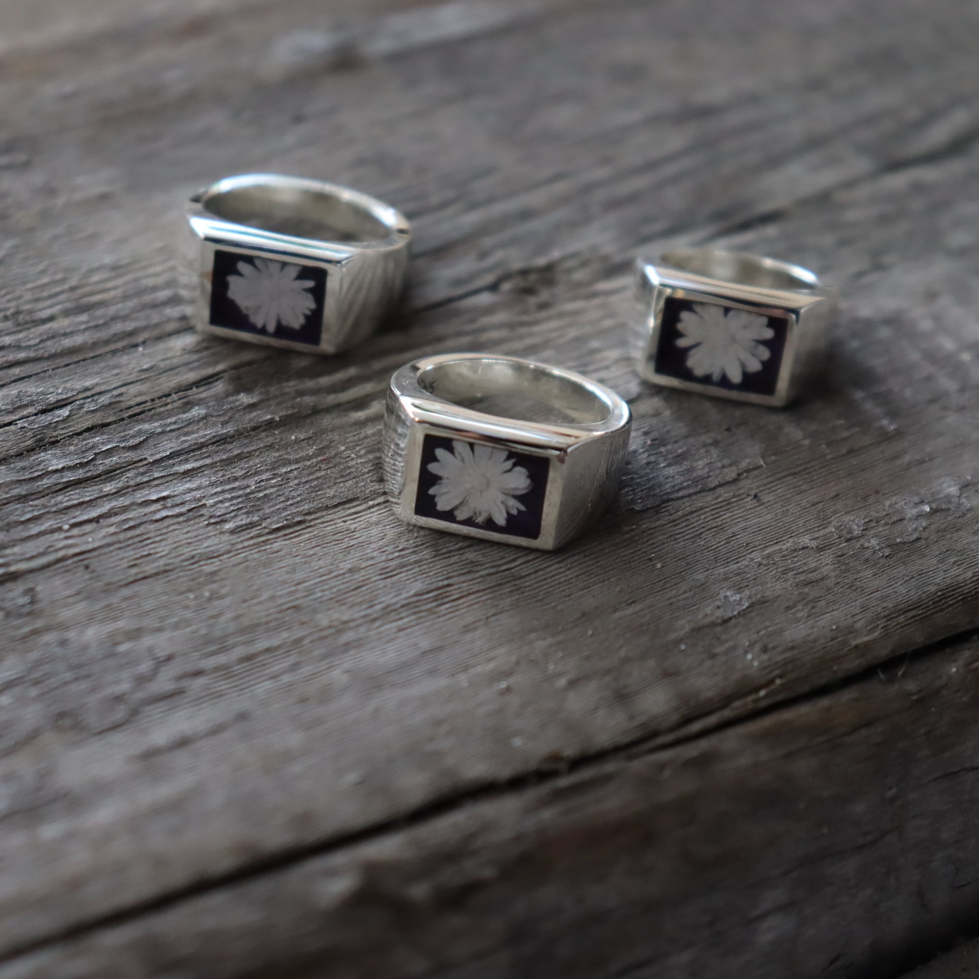 XOLO JEWELRY 