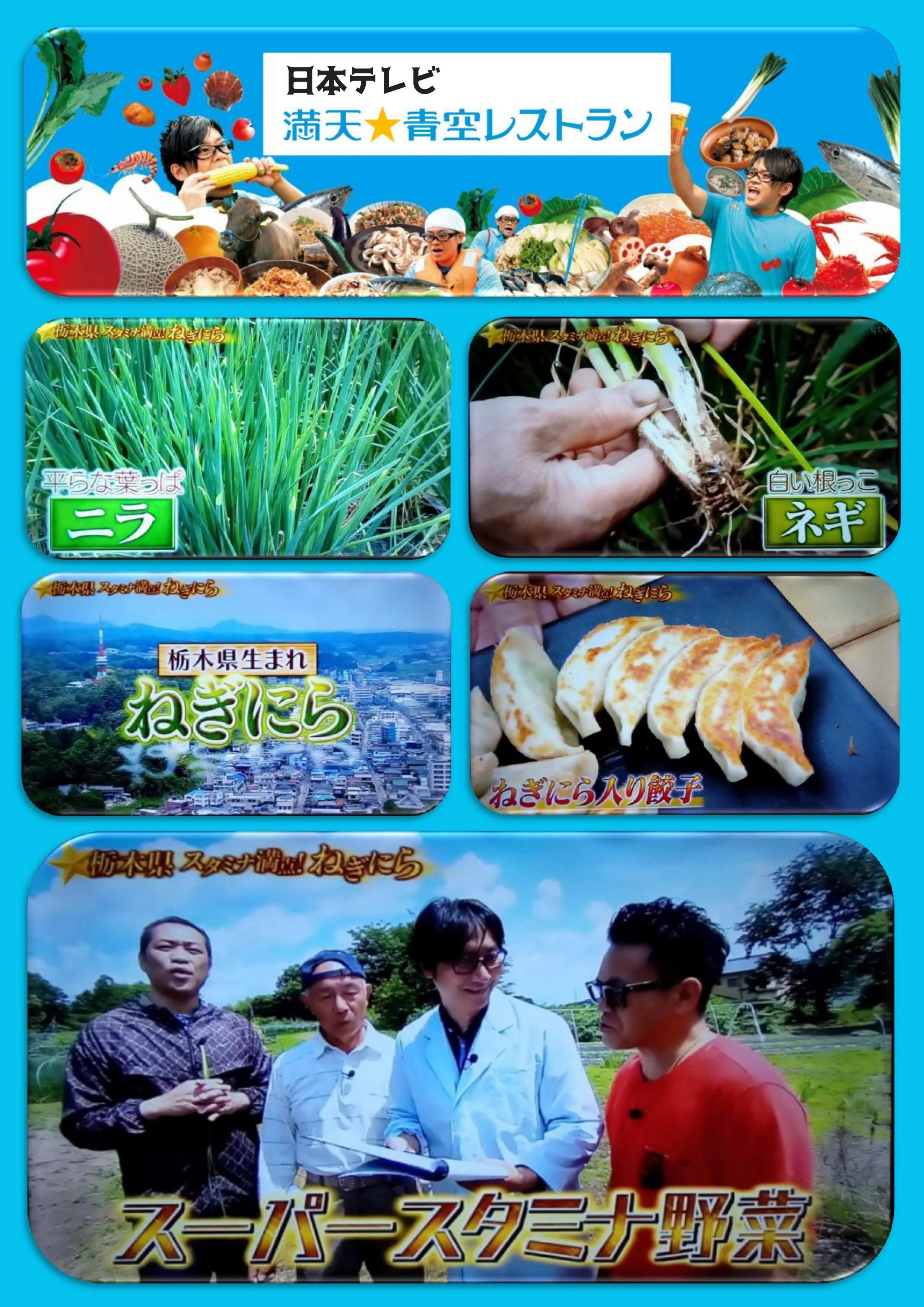 40個】宇都宮ねぎにら餃子 定番餃子（にんにくあり） 冷凍